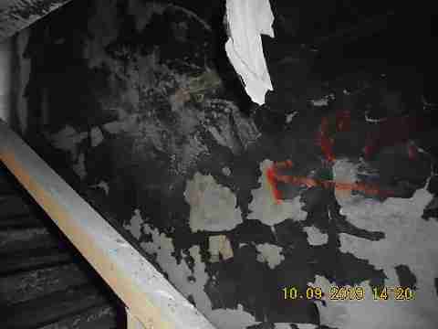 13015 Kelly (16)_m.jpg